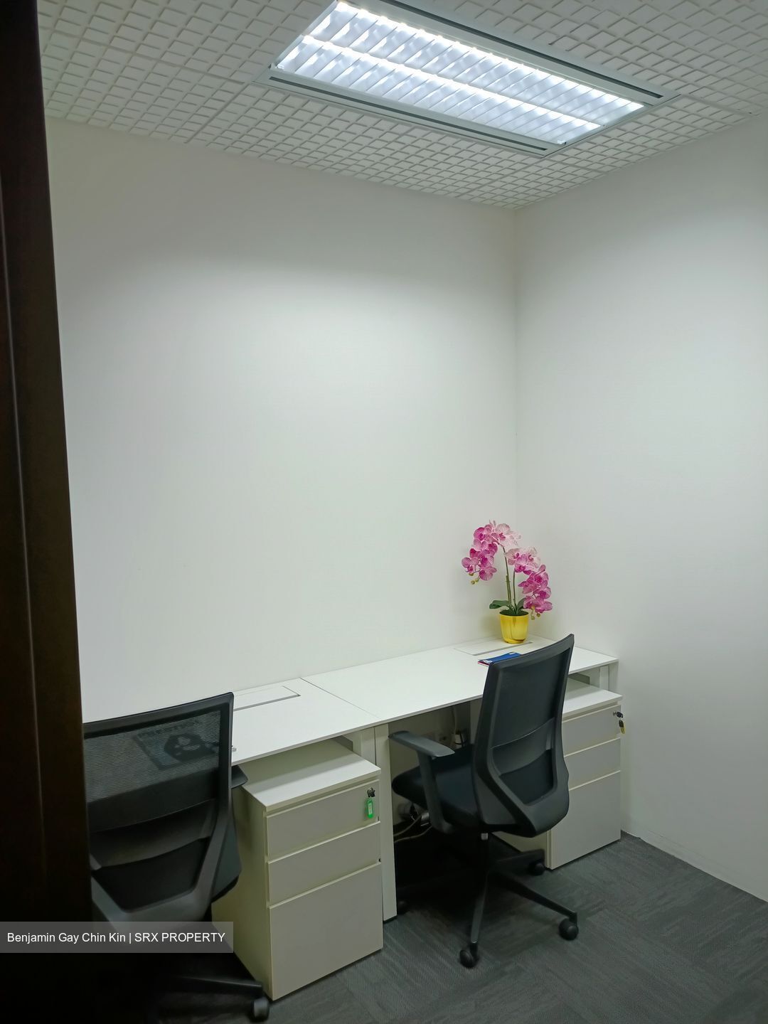 Bugis Junction (D7), Office #540897191